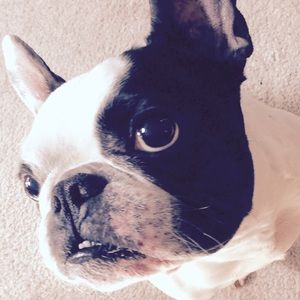 I love to travel & I love to shop!